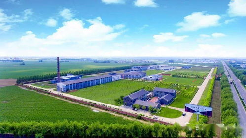 榆树钱揭牌成立中国北方白酒新技术与新产品联合研发中心，引领技术开发新篇章